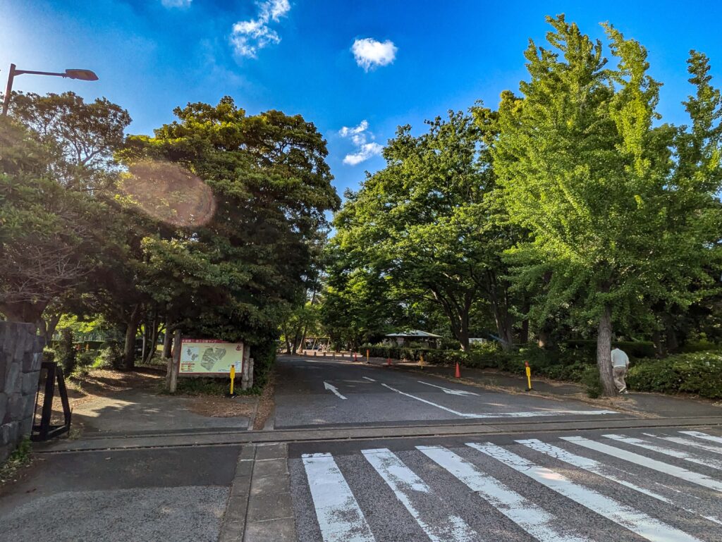 ヒルズ大宮堀の内３丁目　分譲地のアプローチが特徴的な分譲地　